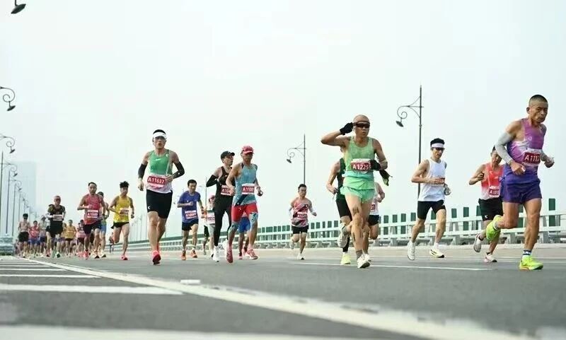 开赛前, OTHub 开赛前, OTHub