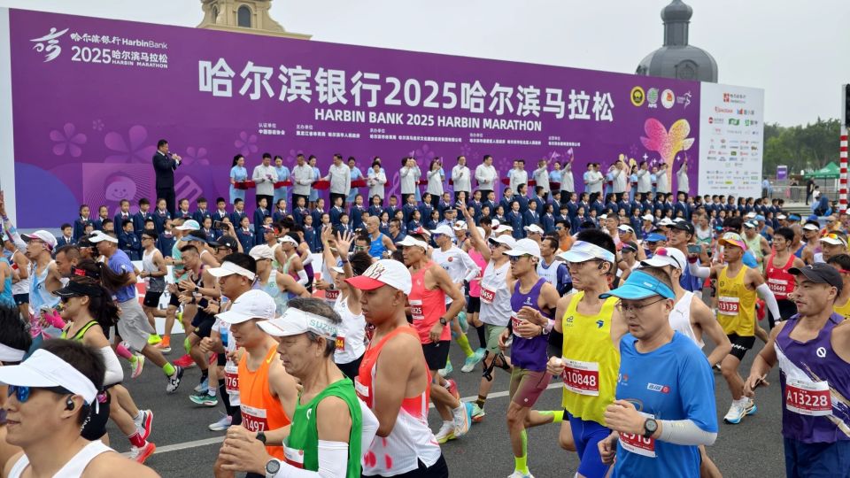 系列活动 系列活动