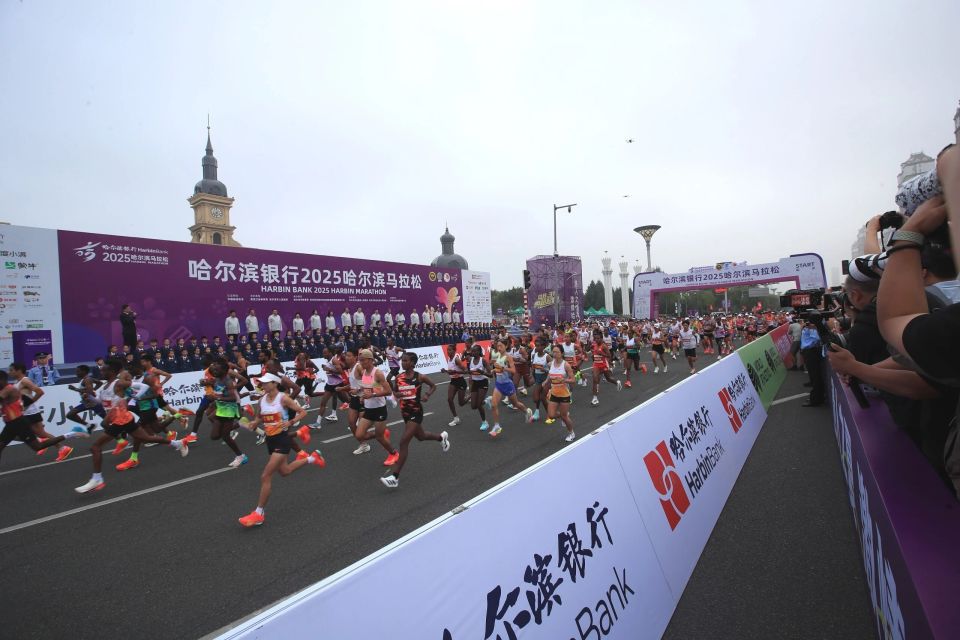 com, MbipQ com, MbipQ